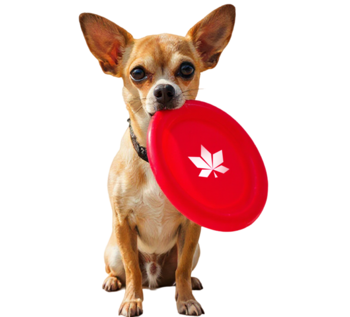 Návrh bez názvu (1)