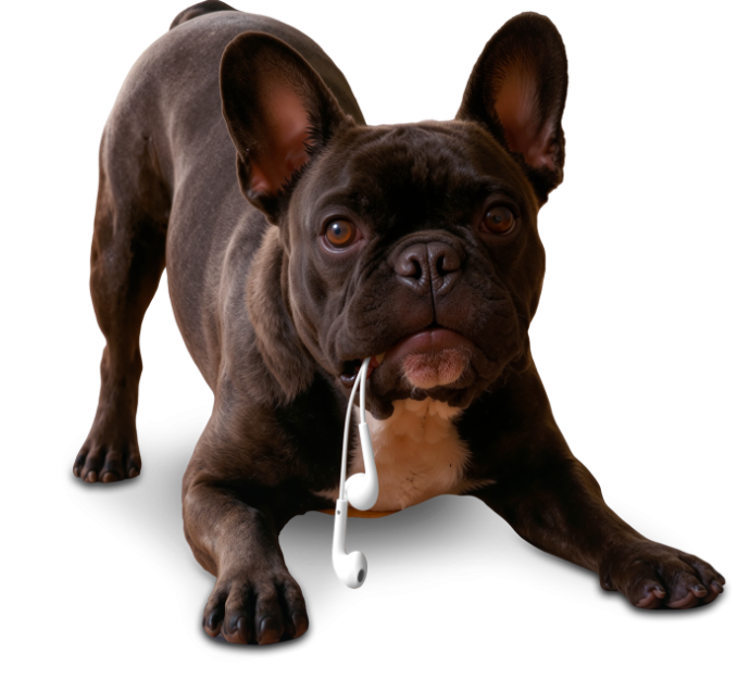 Kopie souboru Colonnade_Web_PesSluchatka